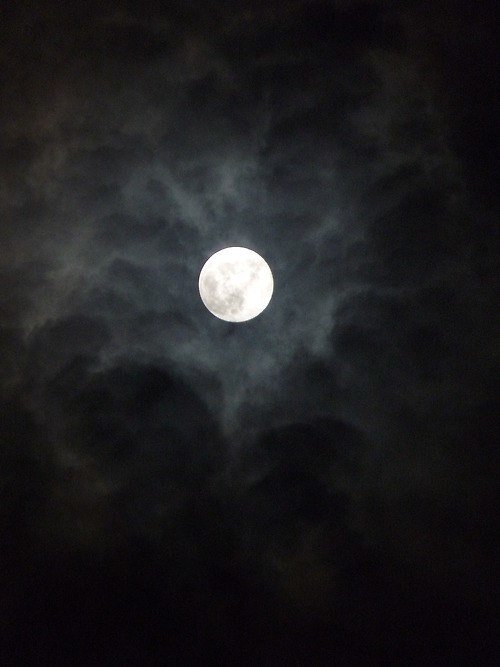 FullMoon - BRUJA 77