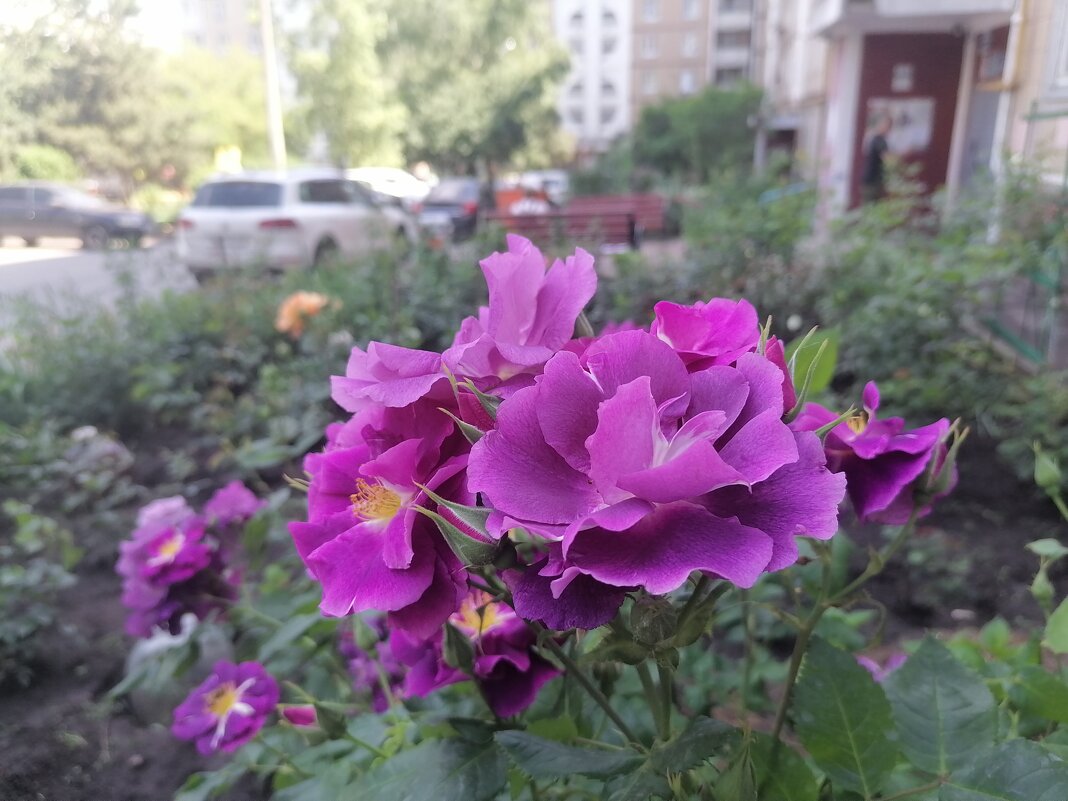 ,,, - Сергей Тимоновский