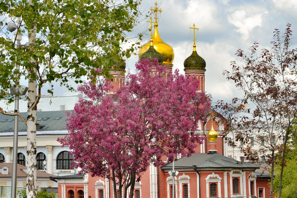 Сирень - Валерий Пославский