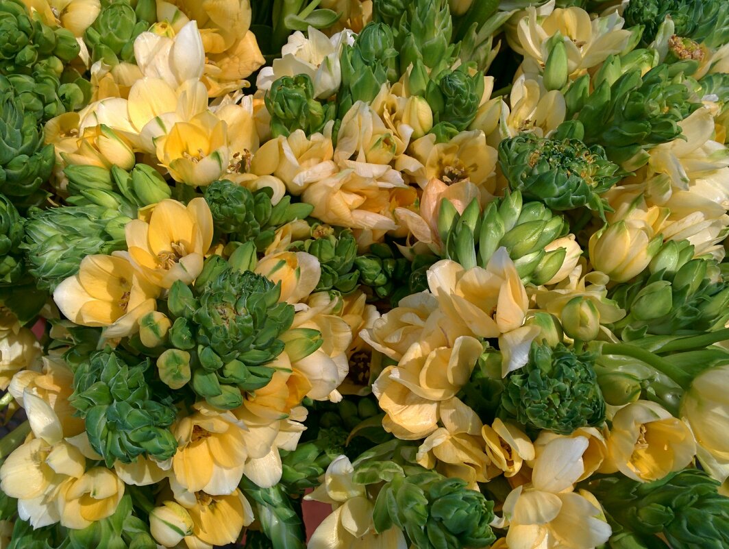 " - Светлана Хращевская