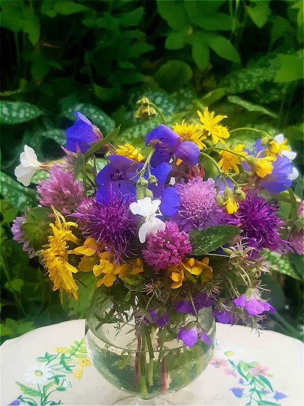 Цветочное лето! - Нина Андронова Цветочное лето! - Нина Андронова