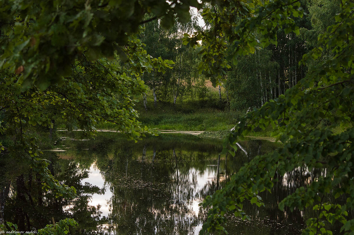 *** - Андрей Андрианов