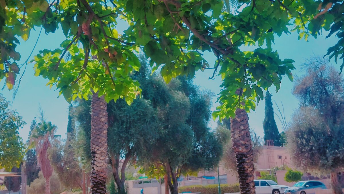 11  ОПЕН (468) - СТРЕН 