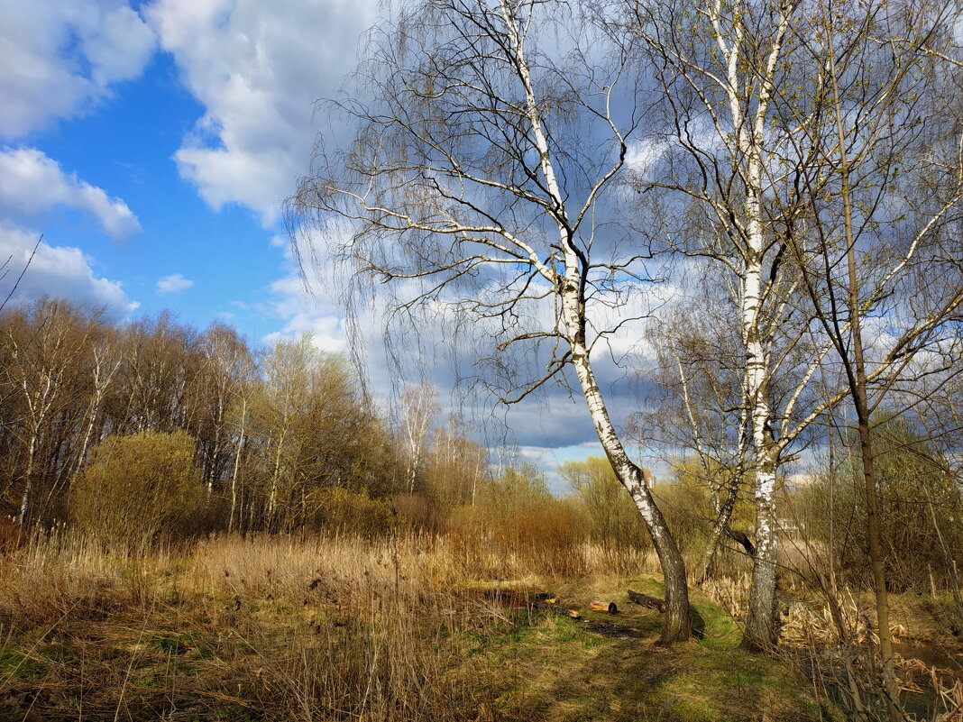 Когда есть ЧТО вспомнить, фотография помогает - Андрей Лукьянов