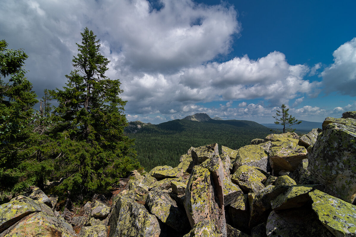 ... - Damien Dutch ... - Damien Dutch