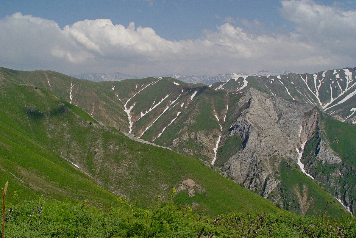 ДОЛИНА КУЛАСЬИ, всё выше. - Виктор Осипчук