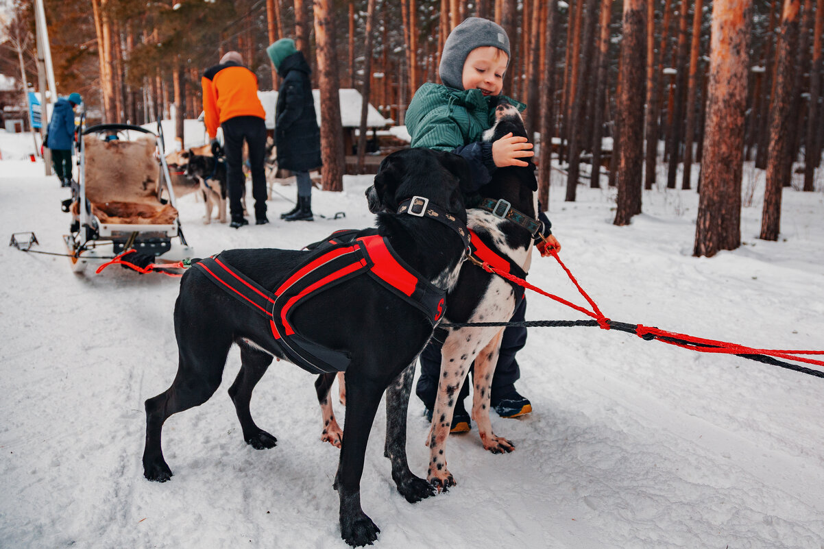 И тебя прокачу - Aleksey Zaikin