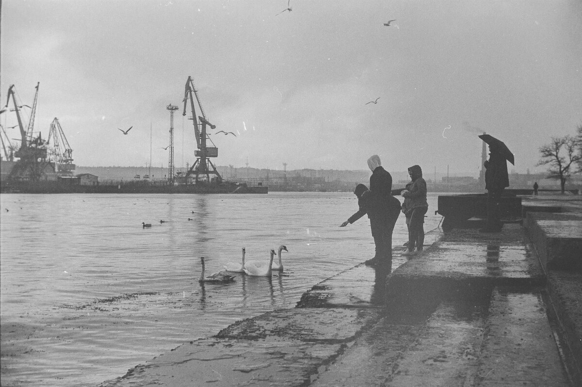 Зимнее прошлое. - Анатолий Щербак Зимнее прошлое. - Анатолий Щербак