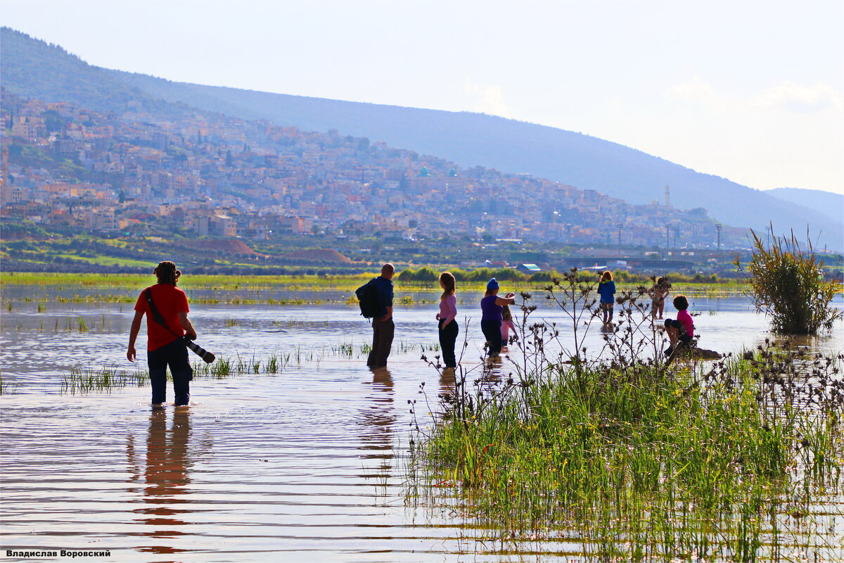 много людей - Владислав Воровский много людей - Владислав Воровский