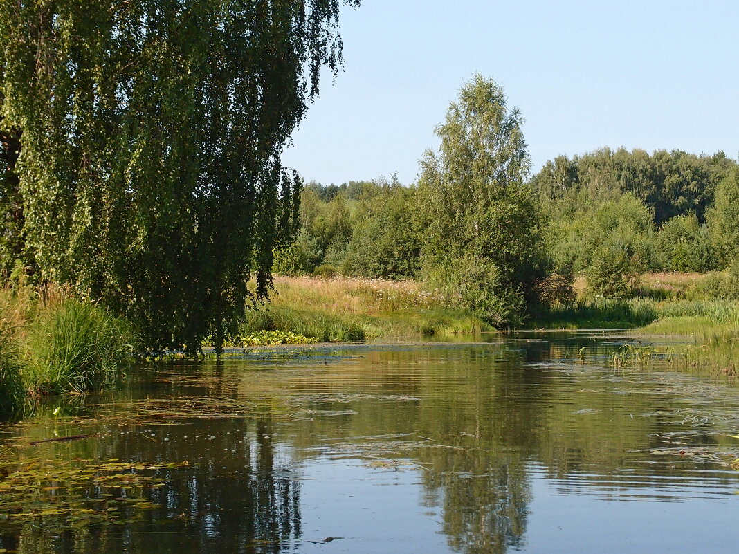 На реке летом - Андрей Зайцев На реке летом - Андрей Зайцев