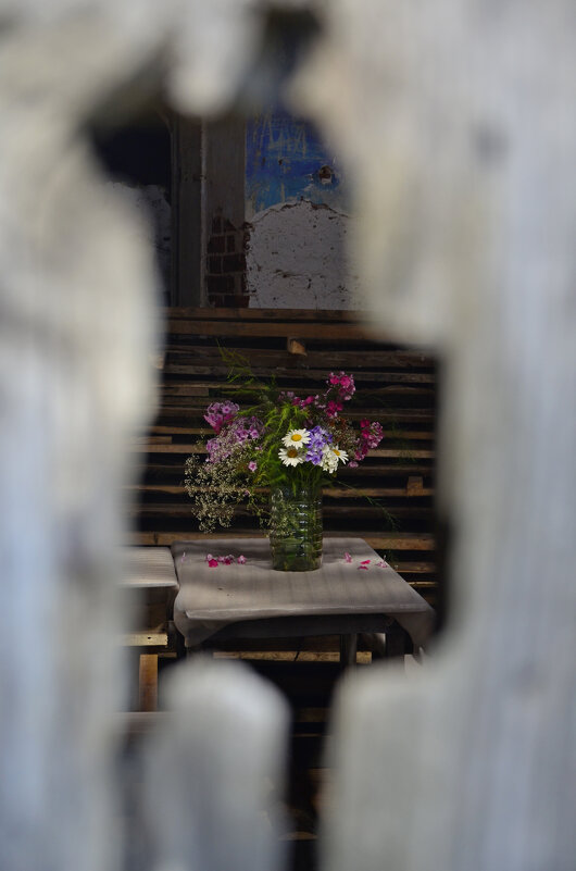 . - владимир полежаев