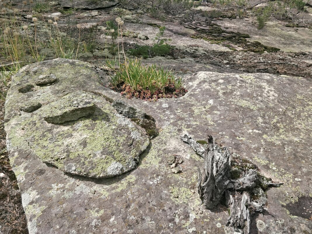 В гранитах... - Андрей Хлопонин В гранитах... - Андрей Хлопонин
