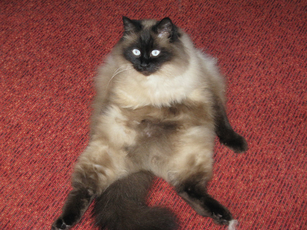 Сидим - Александра Кривко