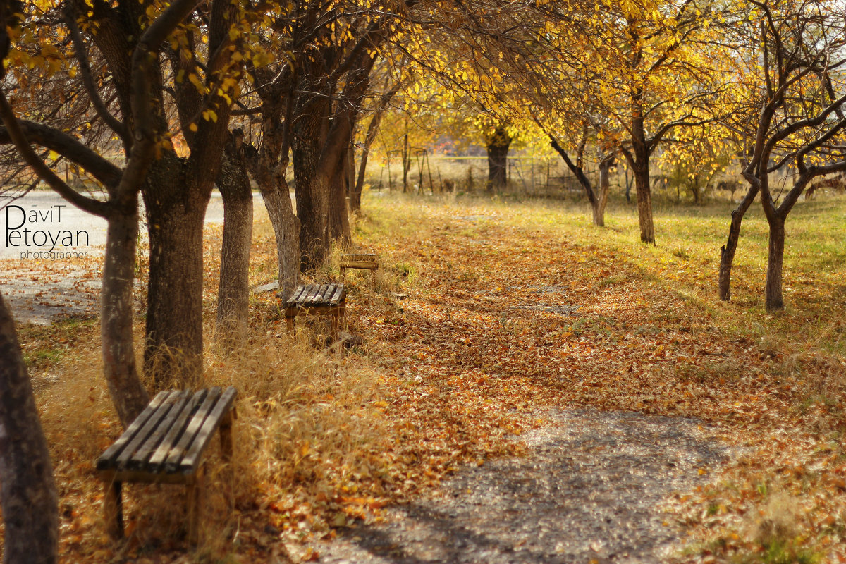 осень - Davit Petoyan
