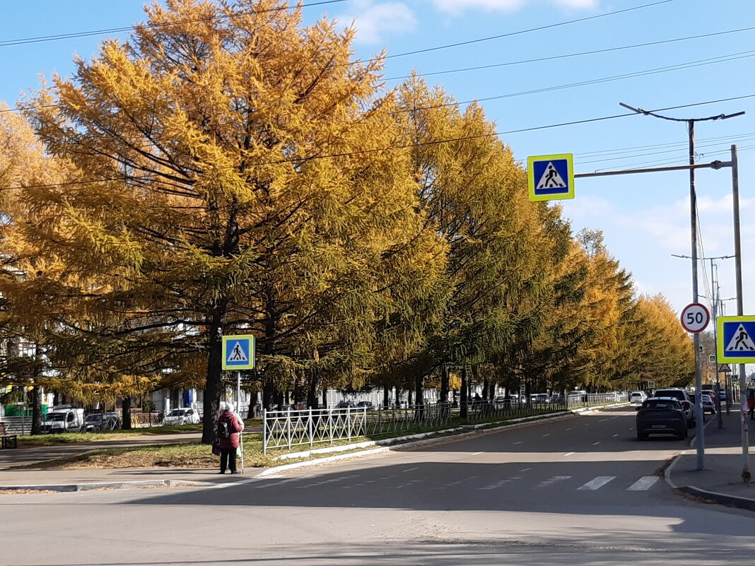 Ангарск Иркутской области. - Галина Минчук Ангарск Иркутской области. - Галина Минчук