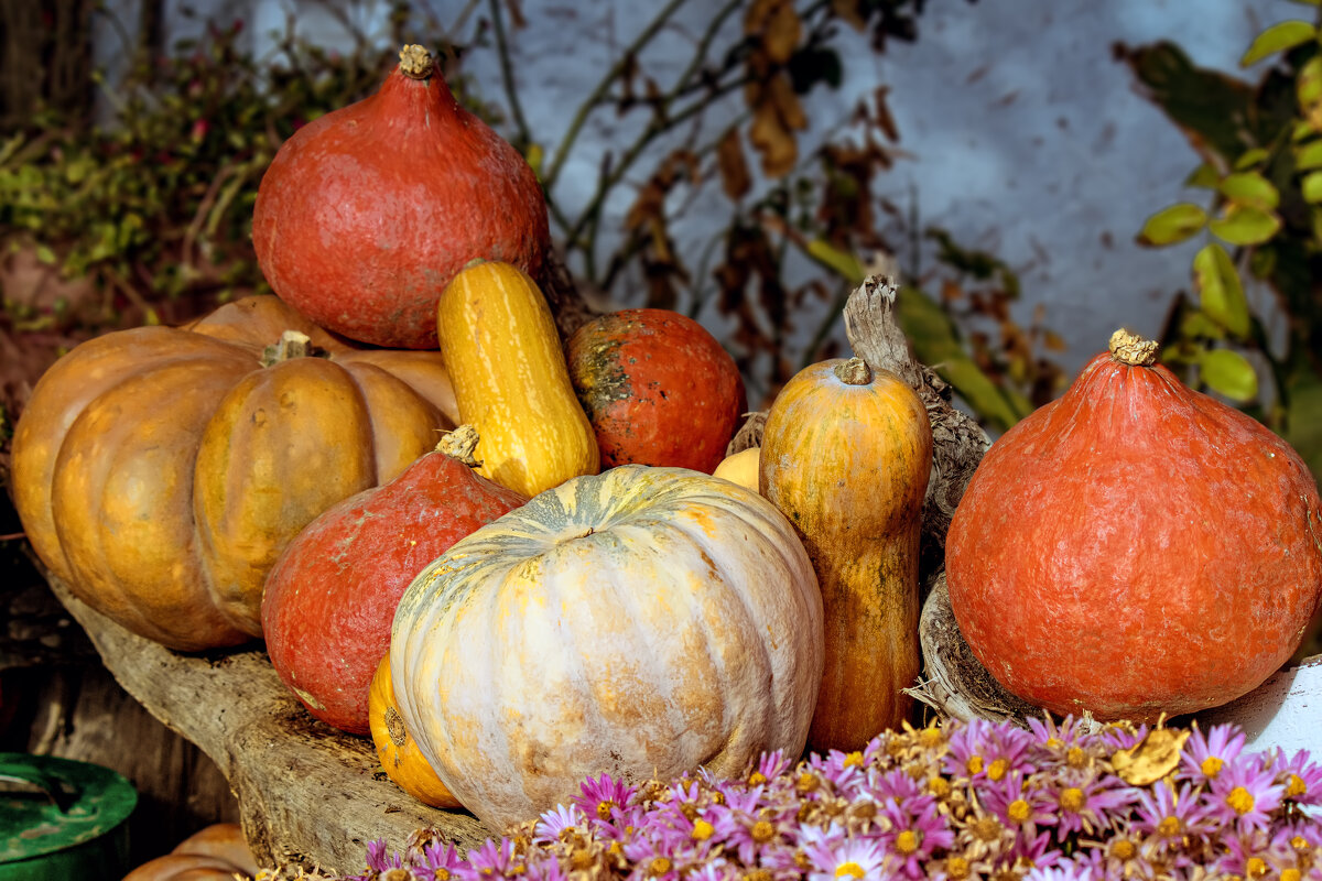 Осень. - Анна Пугач Осень. - Анна Пугач