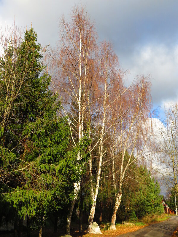 В осенний день - Андрей Снегерёв В осенний день - Андрей Снегерёв