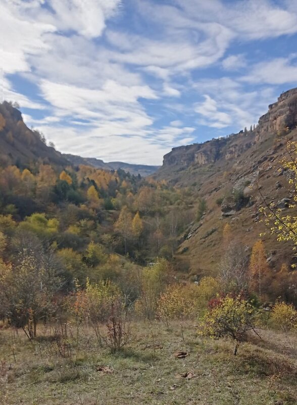 Кавминводы. Берёзовское ущелье - Нина Бутко