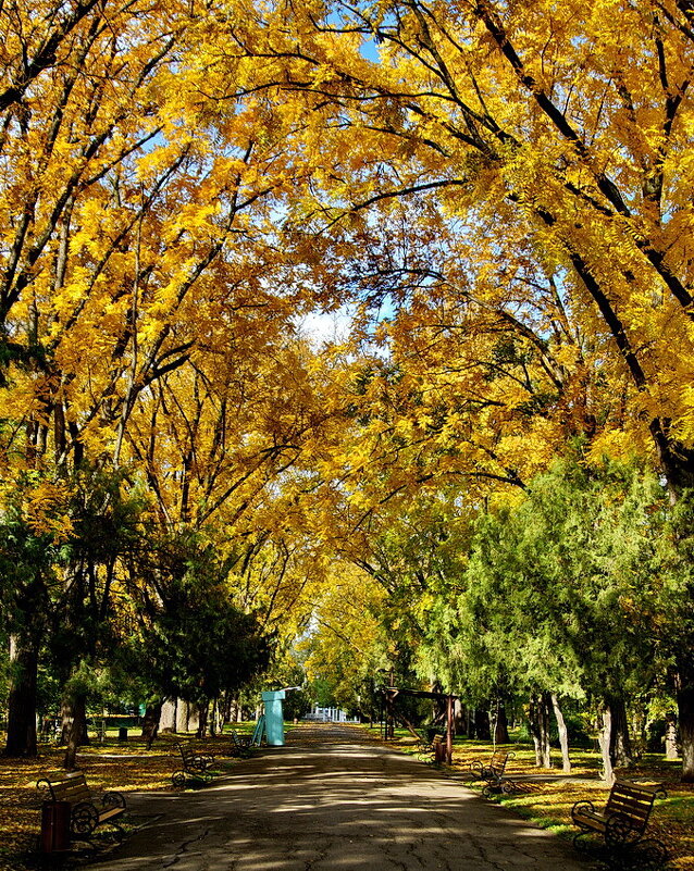 Осенняя пора... - Николай Саржанов