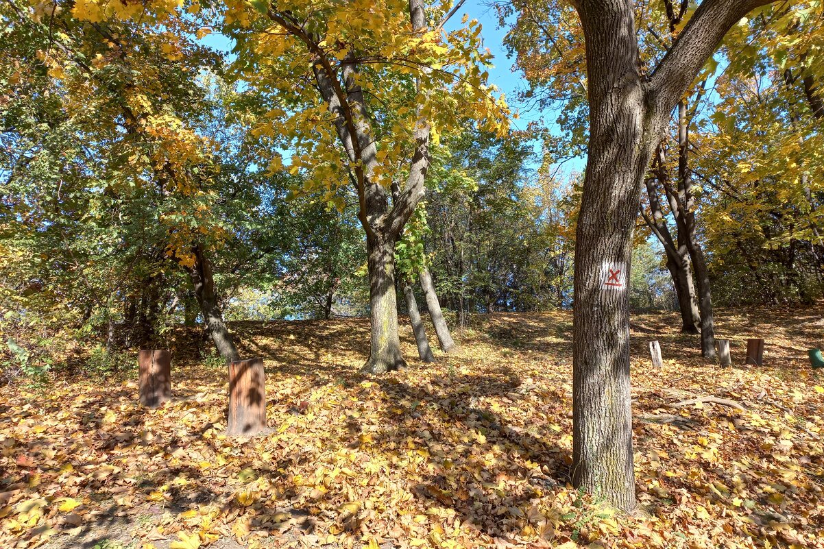 Осенние зарисовки - Милорад 