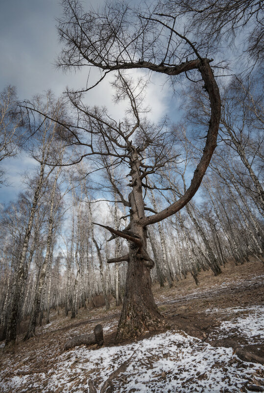 * - Александр Иванов