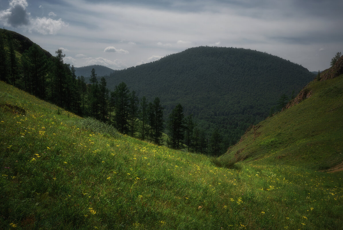 * - Александр Иванов