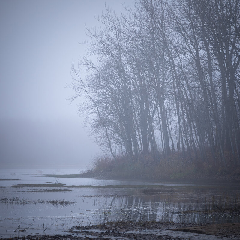 **** - Елизавета .