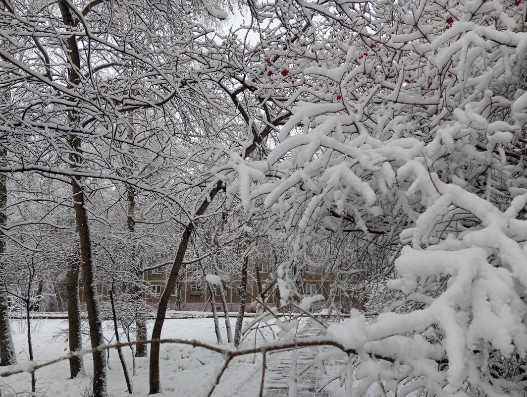 Зима пришла - Елена Семигина