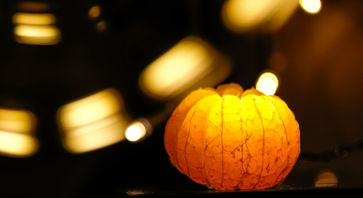 Волшебный мандарин - Елизавета Нефедова Волшебный мандарин - Елизавета Нефедова