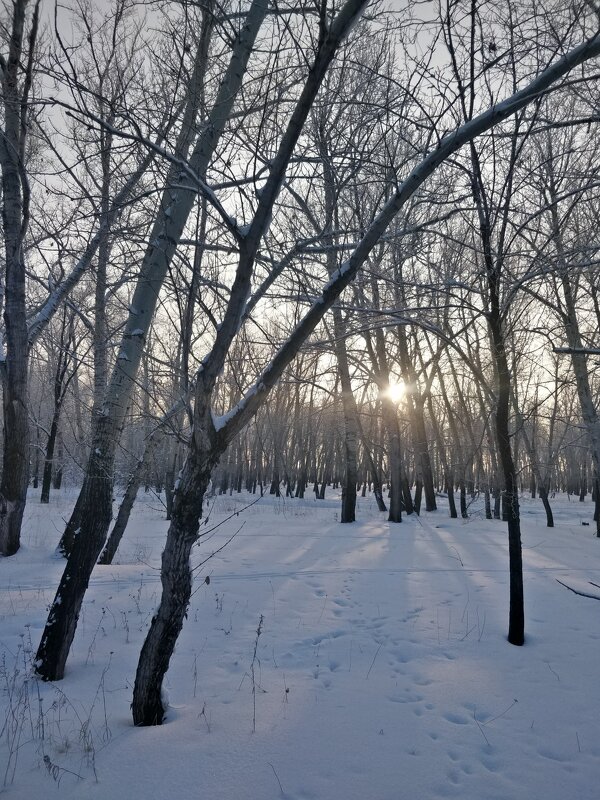 Вечер - Андрей Хлопонин Вечер - Андрей Хлопонин