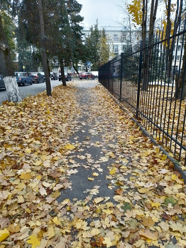 *** - Валентина Береснева