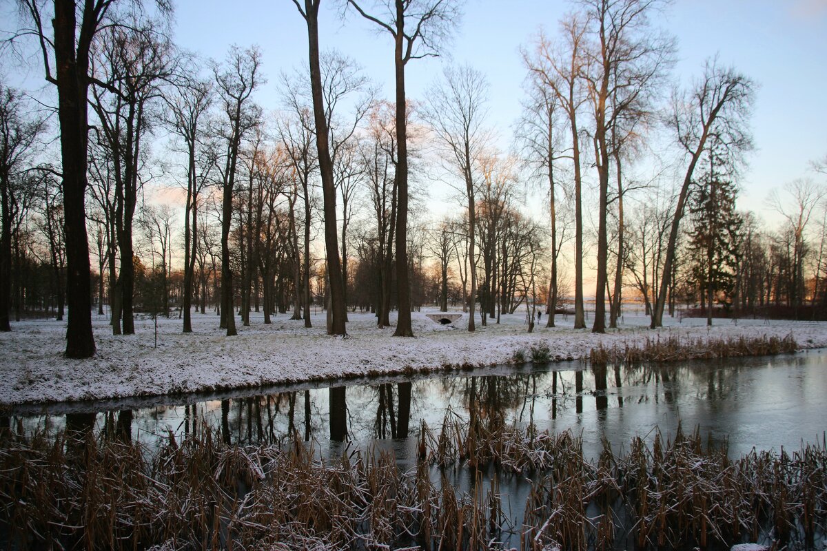 Александрия - Наталья Герасимова