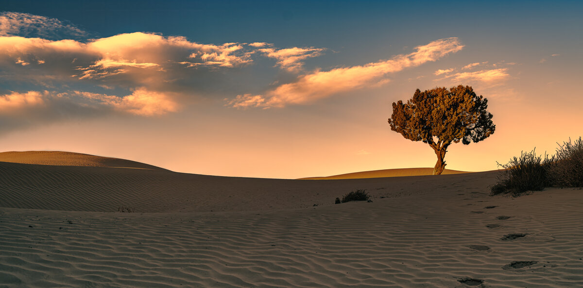 Little Sahara - Iosif Magomedov