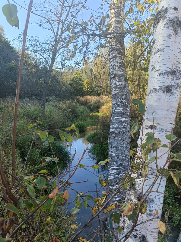 осень Святогорья - Галина R...