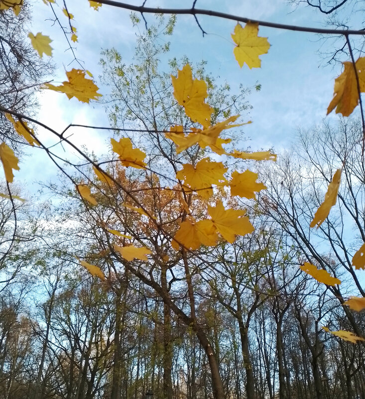 *** - Валентина Береснева