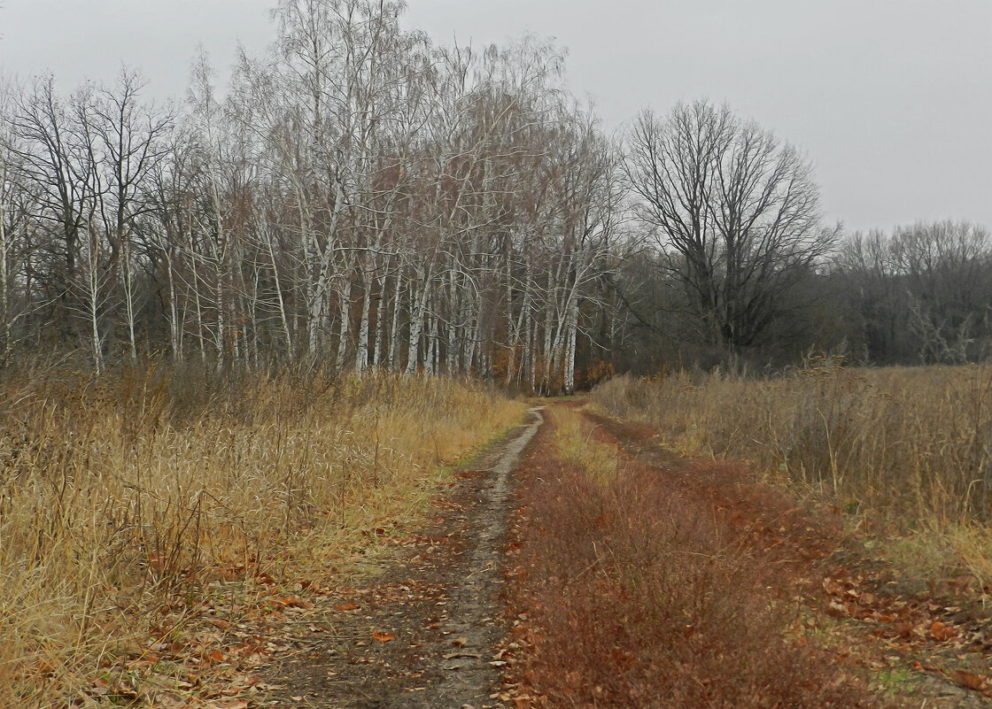 осень - Лера 