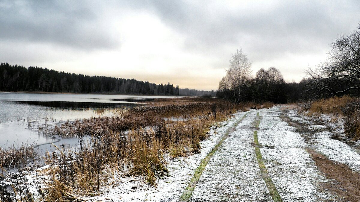 Начало зимы на Смоленщине. - Милешкин Владимир Алексеевич 