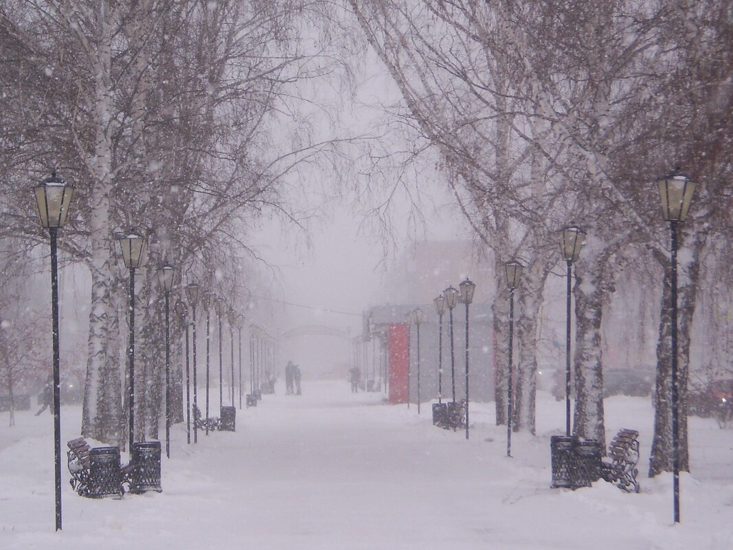 Пришла зима. - Венера Чуйкова Пришла зима. - Венера Чуйкова