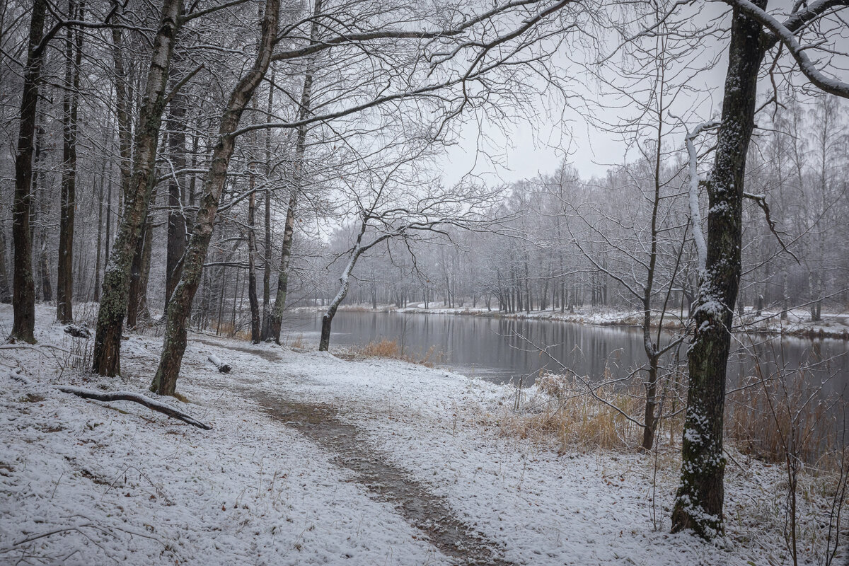 **** - Елизавета .