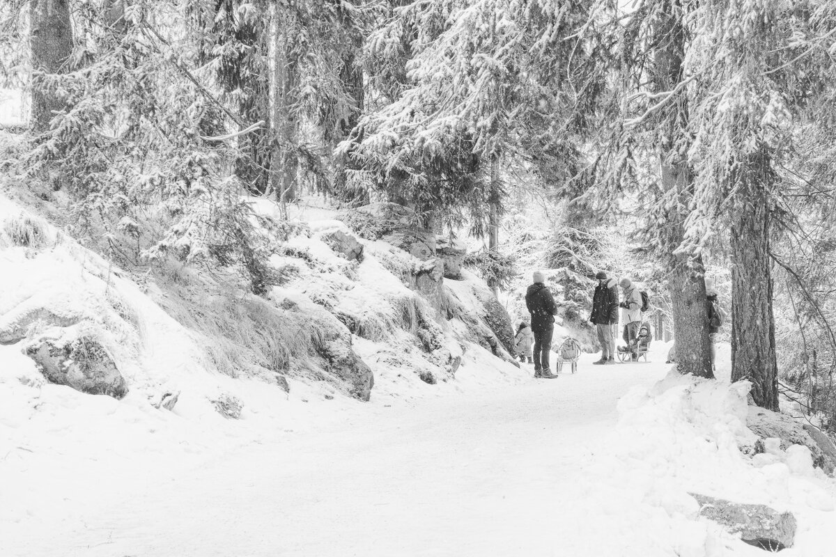 .  .  . - Jiří Valiska