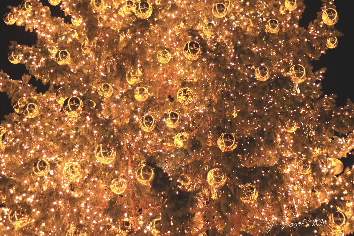 *** - Елена Kазак (selena1965)