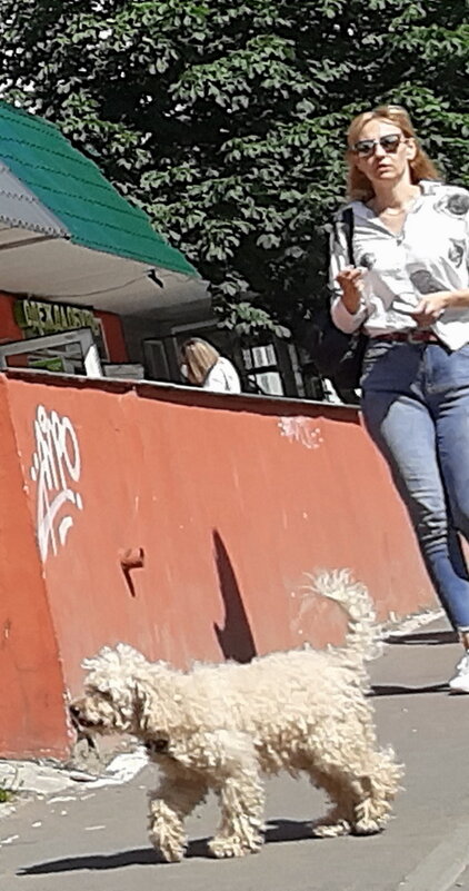 *** - Владимир Захаров