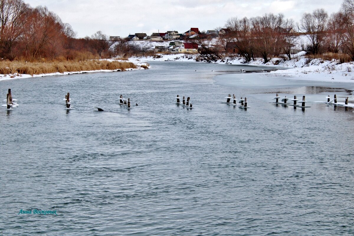 Мой любимый Хопёр. - Восковых Анна Васильевна 