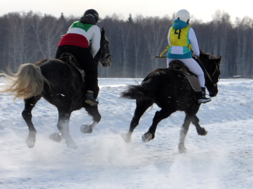 Конные бега. - nadyasilyuk Вознюк Конные бега. - nadyasilyuk Вознюк