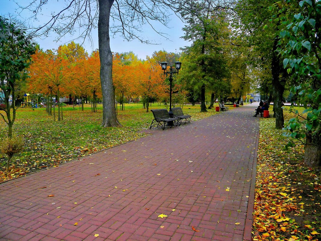 В осеннем парке - Роман Савоцкий