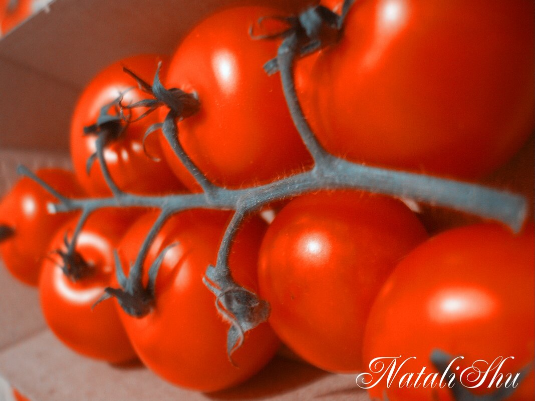Помидорки. - Наталья Вязигина