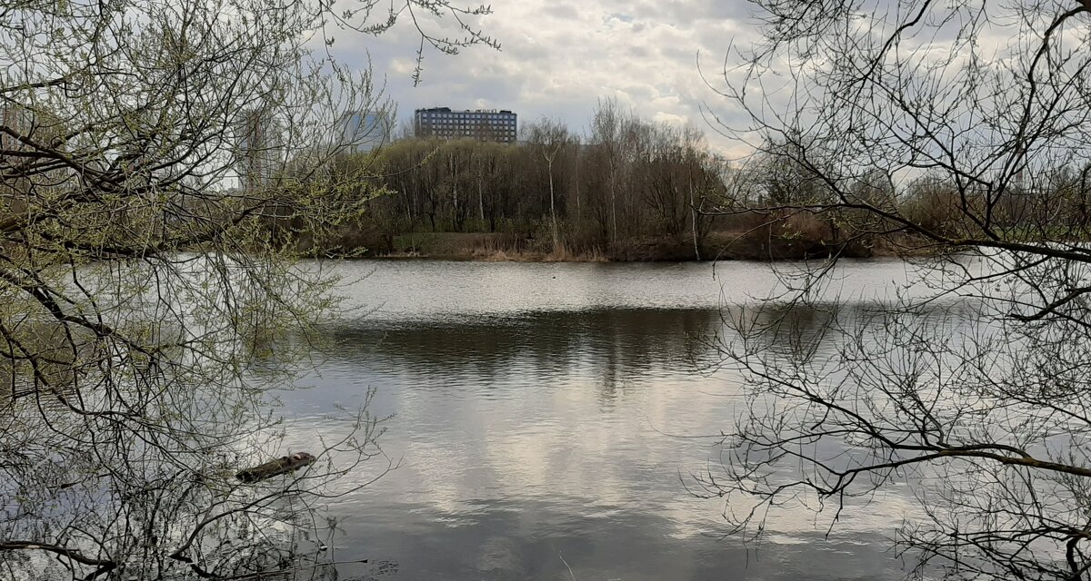 Весна 2024. Апрель - Наталья Герасимова