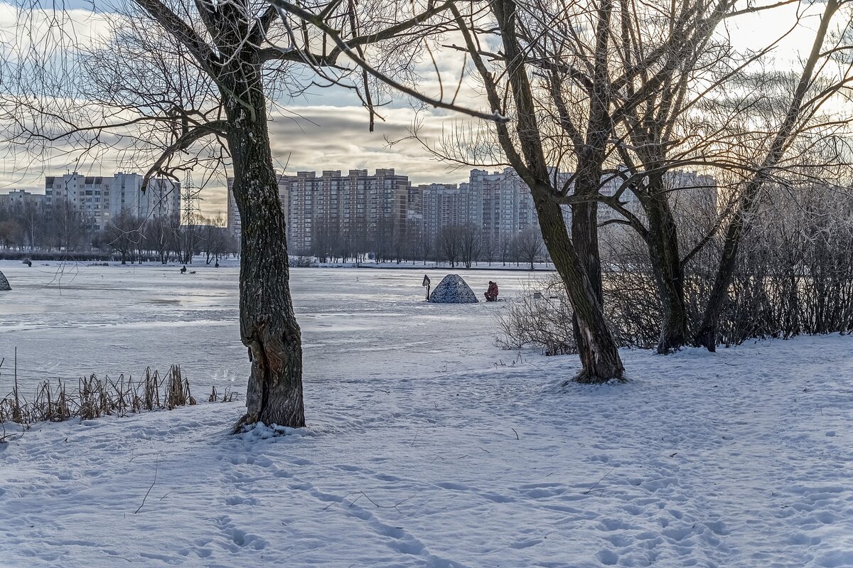 Декабрь на городском пруду - Валерий Иванович