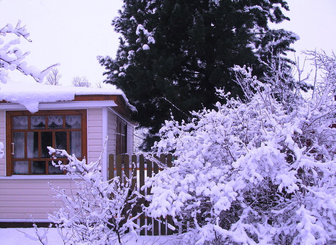 Возле дома моего - Людмила Смородинская