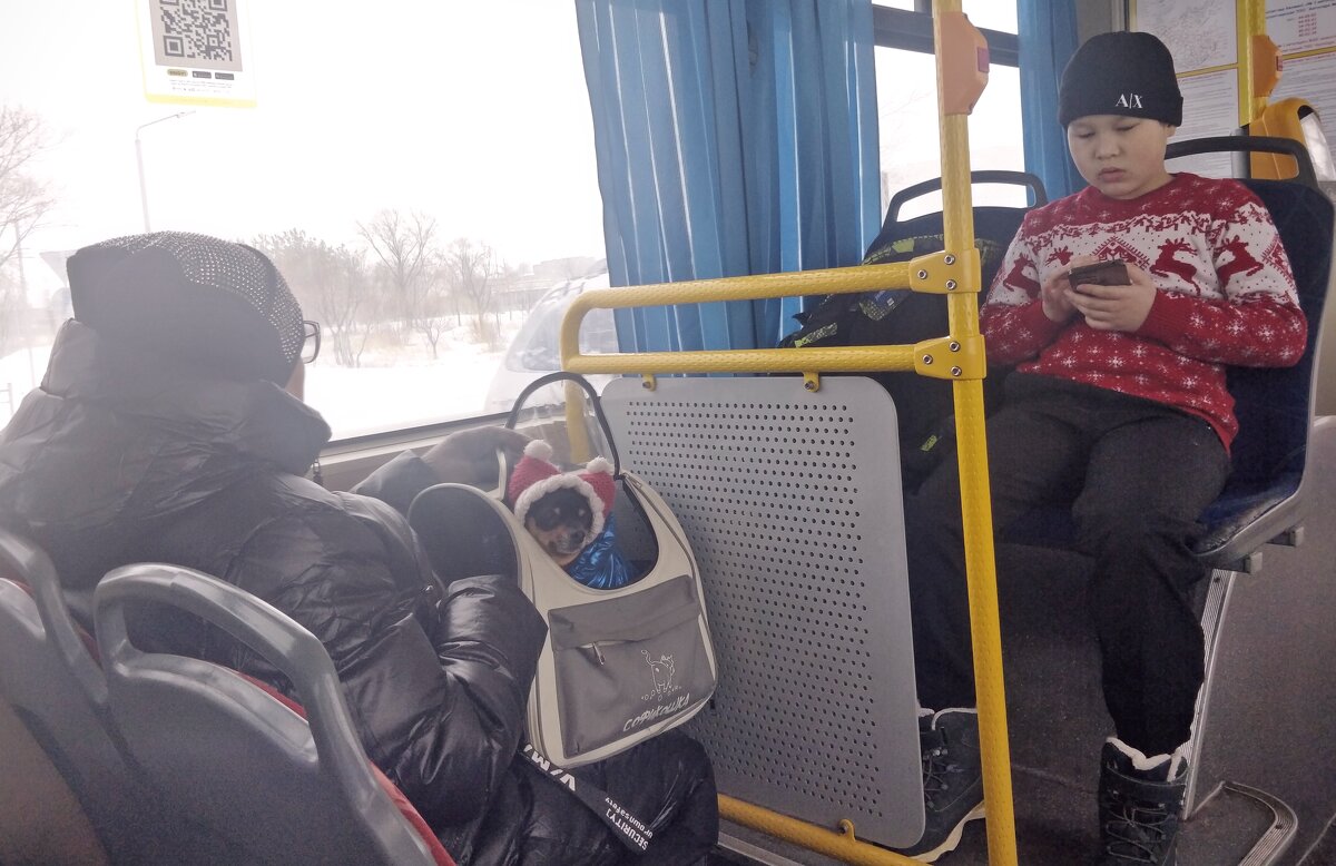 Пассажир - Андрей Хлопонин Пассажир - Андрей Хлопонин